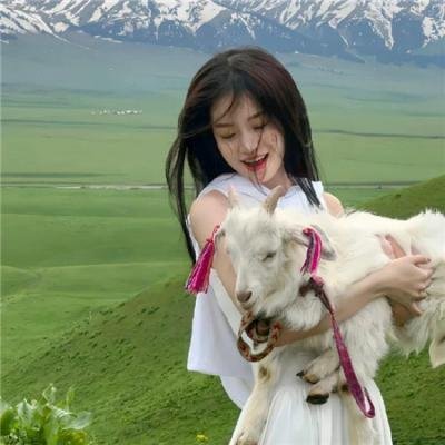 猛龙铁金刚